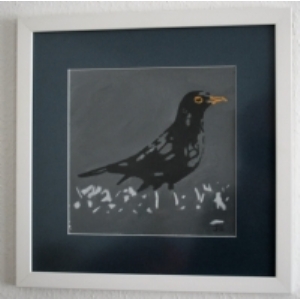 Colly Birds : Blackbird